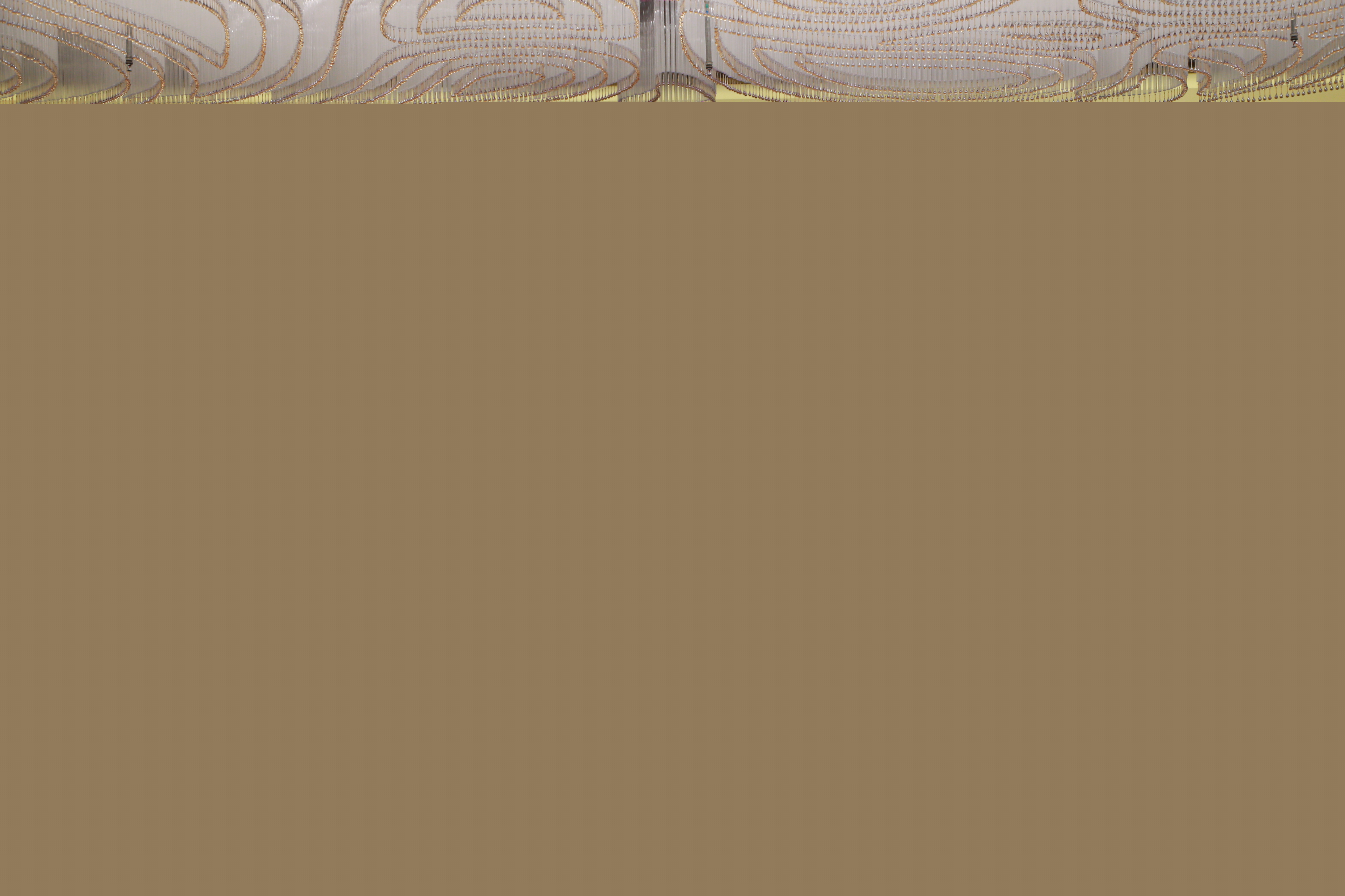 中国乒协启动青少集训队教练员竞聘 刘国梁强调